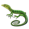 Emerald Tree Monitor: Green